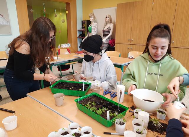 In der Orientierungsphase lernen die Schülerinnen und Schüler alle Fachbereiche der Polytechnischen Schule kennen. Danach entscheiden sie, in welche Richtung ihre Ausbildung geht. | Foto: PTS Grieskirchen