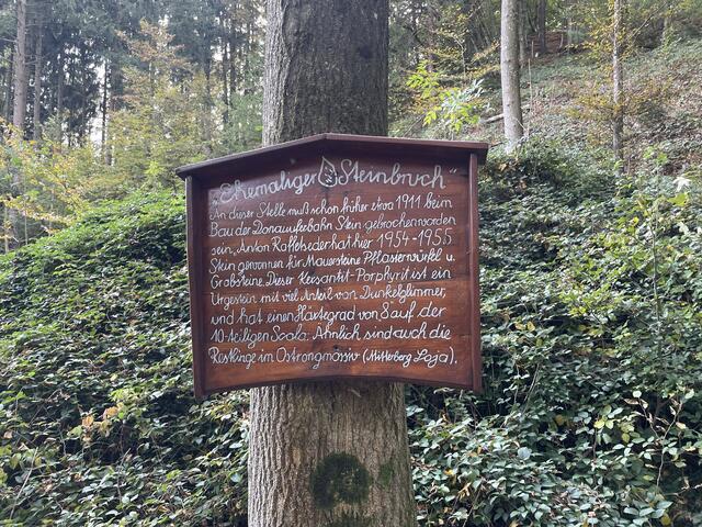 Foto: Pauline Schauer