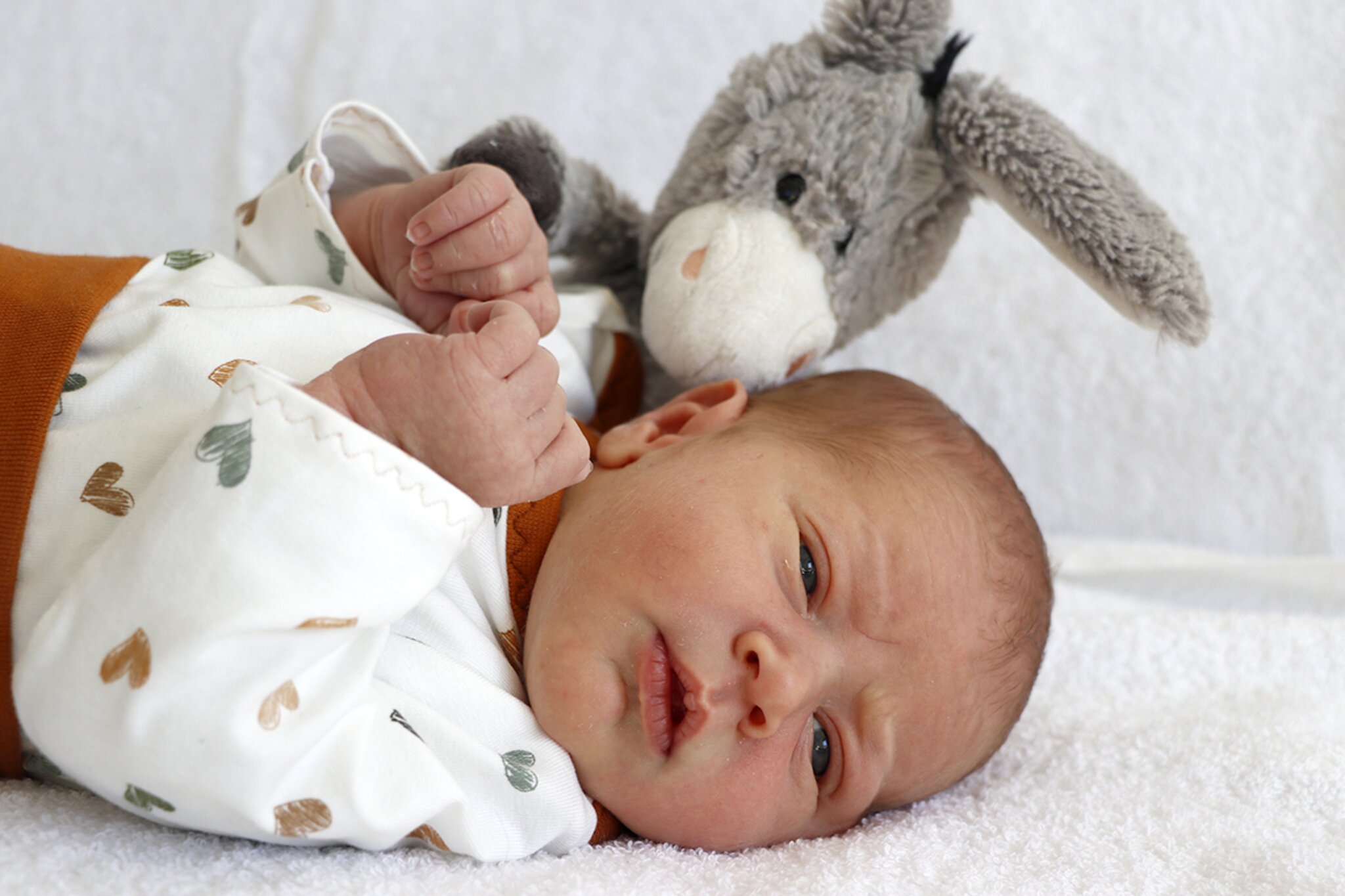 Freude in Windhaag Julian hat das Licht der Welt erblickt Freistadt