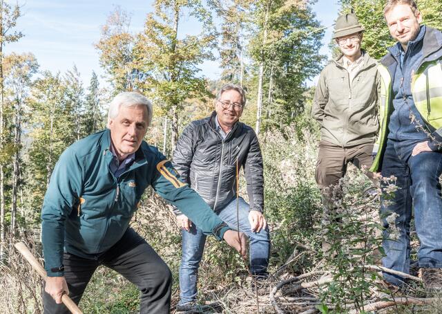 Sparkassen-Vorstand Reinhard Waltl, Bgm. Martin Krumschnabel, Stadtförster Philipp Weninger und Stadtwerke-Bereichsleiter Reinhard Senfter (v.l.) pflanzten gemeinsam einige Bäume im Kaisertal. | Foto: Marco Pircher