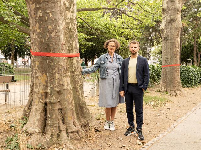 Die grüne Alsergrunder Vize-Bezirksvorsteherin Josefa Molitor-Ruckenbauer und der Parteivorsitzende der Grünen Wien Peter Kraus neben einem der gefährdeten Bäume.  | Foto: Grüne Wien