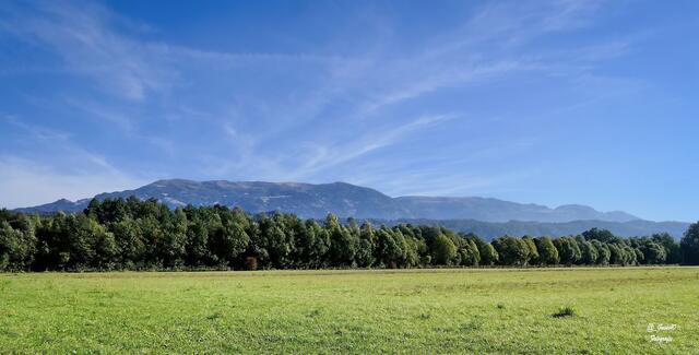 .........hinten die Millstätter Alm .....