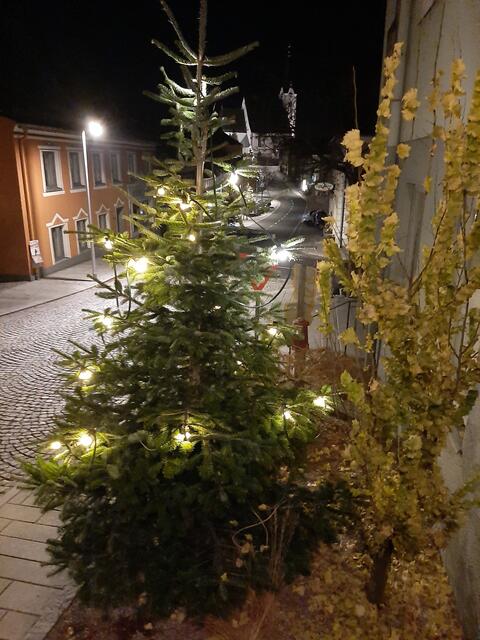 Sparen bei Weihnachtsbeleuchtung 2022 in Pabneukirchen: 2 Bäume mit Lichtern.  | Foto: Zinterhof