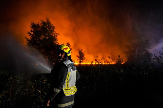 In der Nacht auf heute kam es zu einem großflächigen Schilfbrand in Breitenbrunn. | Foto: Bezirksfeuerwehrkommando Eisenstadt-Umgebung