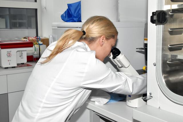 Im Zuge der Klausur wurde auch eine verstärkte Zusammenarbeit zwischen dem Land Steiermark und heimischen Universitäten im Bereich Klimaschutz verkündet. | Foto: MeinBezirk.at