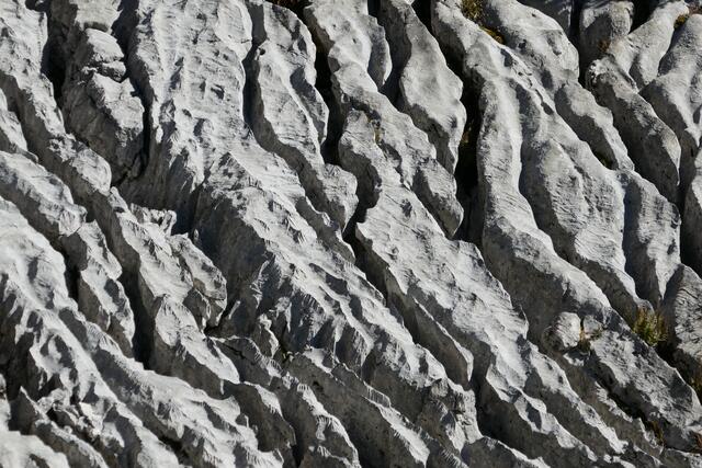 Karren sind für den Karst typische Verwitterungsformen.  | Foto: Thomas Neuhold