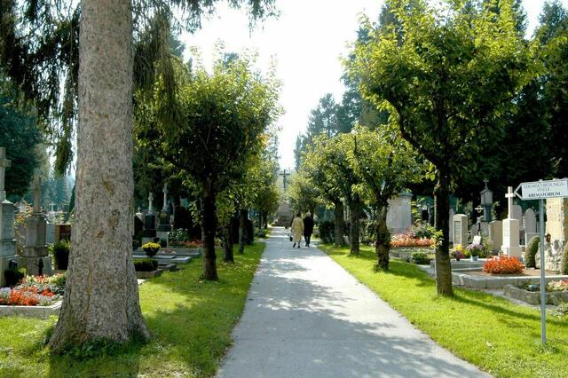 Trauerorte sind wichtig für Trauernde, sagt Mai Ulrich.  | Foto: Symbolbild: Stadt Salzburg/Johannes Killer 