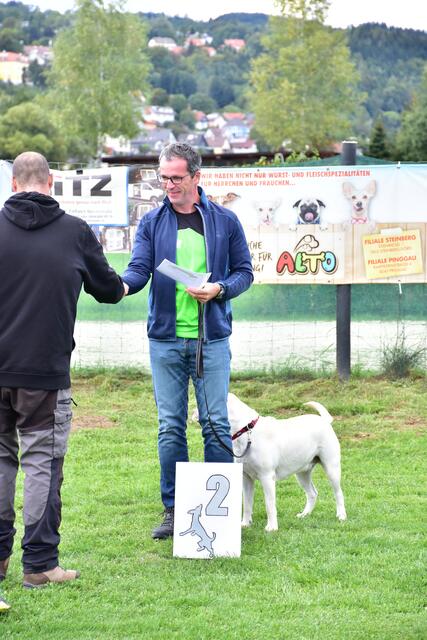 Franz Stögerer und Ella erreichen den zweiten Platz bei den Beginnern.