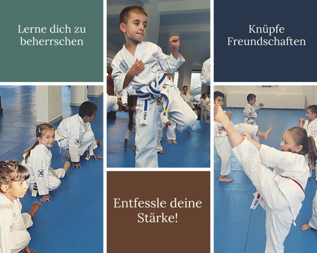 Neu in Wagna: Phönix Taekwon-Do Schule eröffnet in der Leitringerstraße - Leibnitz