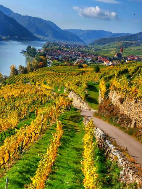 Weißenkirchen in der Wachau  | Foto: Johanna Weninger