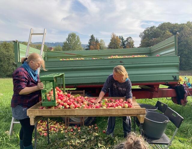 Und weiter geht es zum Sortieren. | Foto: Curd Ranz