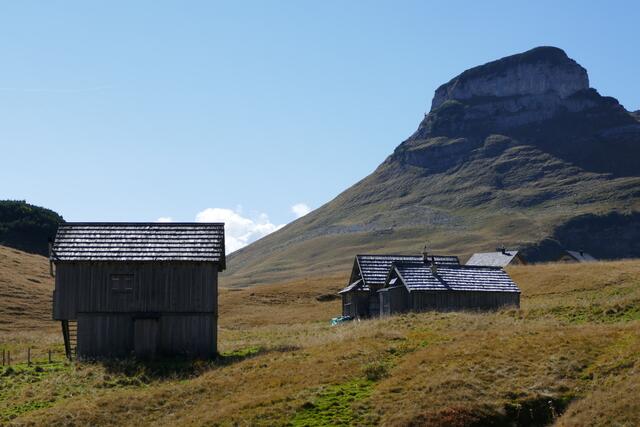 Auf der Bräuningalm vor dem Atterkogel.  | Foto: Thomas Neuhold
