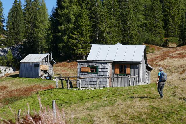 Auf der Gschwandalm.  | Foto: Thomas Neuhold