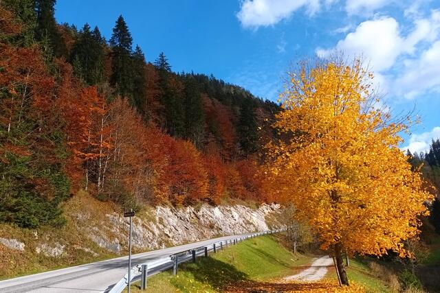 Genuss pur: Der "Goldene Herbst" im Mariazeller Land
