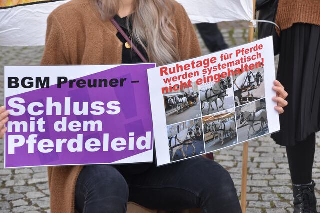 Der VGT fordert Bürgermeister Harald Preuner auf, die Verträge mit den Fiakern nicht zu verlängern. | Foto: Philip Steiner