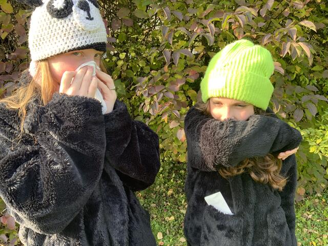 Der Herbst ist da und somit auch die Erkältungszeit | Foto: Alexandra Schaljo