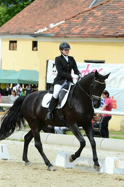 Isabella Schmuck als Dressurreiterin unterwegs im Turniersport mit ihrem geliebten Wallach "Magic Moment." | Foto: privat