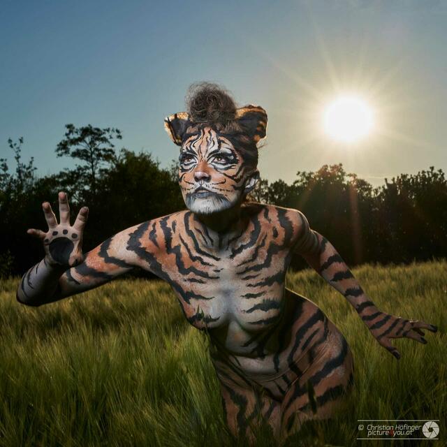 Ein Tiger am Marchfelkanal. | Foto: Christian Höfinger