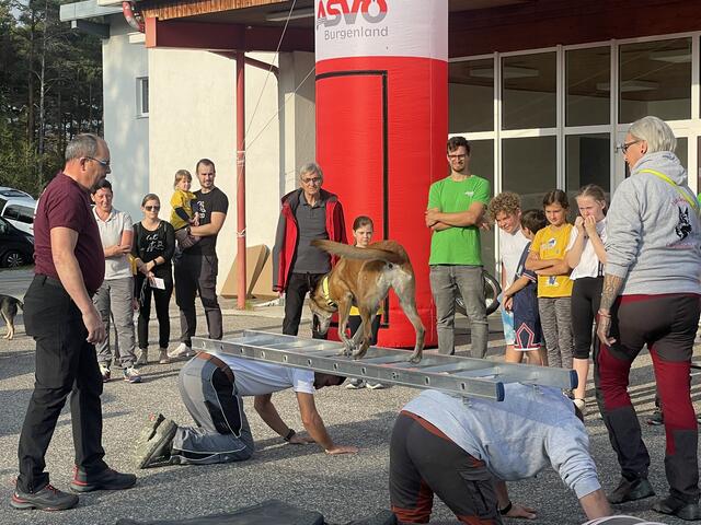 Bei der Hundesport-Show zeigten die Hunde ihr Können!