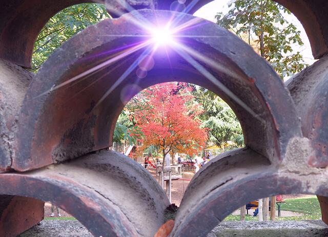 Herbst am Alsergrund | Foto: © Gabriele Czeiner