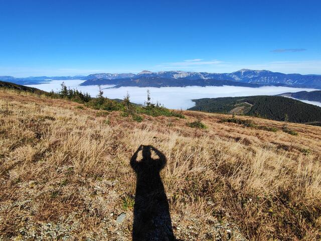 Rax und Schneeberg schauen aus dem Wolkenmeer... | Foto: I.Wozonig