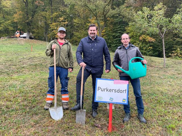 Daniel Fuchs vom Bauhof unterstützt Stefan Steinbichler und Albrecht Oppitz beim Einsetzen der neuen Bäume auf der Feihlerhöhe. | Foto: Marlene Trenker