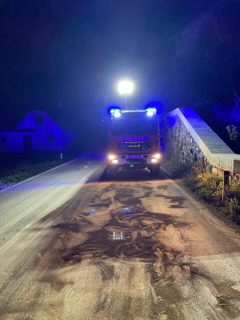 Auf der Gaberl-Bundesstraße mussten Reinigungsarbeiten geleistet werden. | Foto: FF Köflach