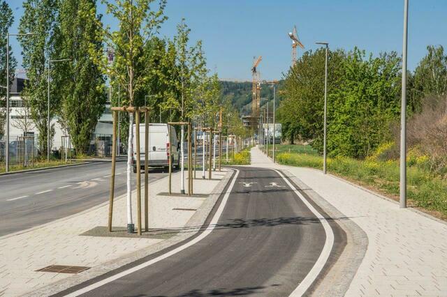 Für die Zukunft wünscht sich die Fußgänger:innenbeauftragte attraktivere, breitere und begrünte Fußwege für Graz. | Foto: Foto Fischer