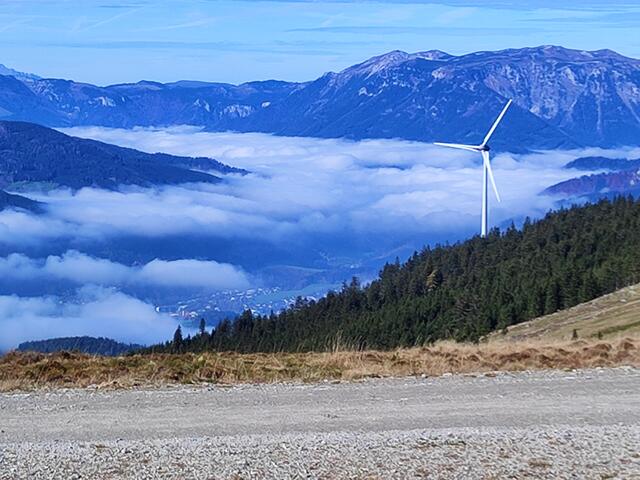 zeigt sich... | Foto: I.Wozonig