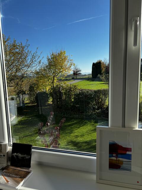 Blick aus dem Atelier von Antonia Riederer | Foto: BRS Grieskirchen/Eferding