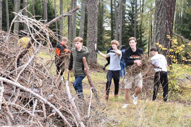 Praxis auf der Lärchenwiese: Heruntergefallene Äste wurden auf Raumhaufen geschlichtet | Foto: Kainz