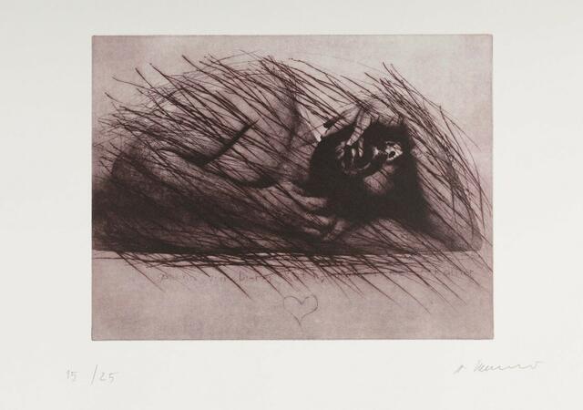 Eine 50-jährige Wienerin ersteigerte Anfang September ein Bild des Künstlers Arnulf Rainer – dieses kam bei ihr aber nie an. | Foto: privat