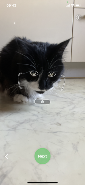 Mit unserem App Tipp der Woche "Monsterfy" können passend zu Halloween aus Selfies Monsterbilder und kurze Monstervideos gestaltet werden | Foto: Screenshot