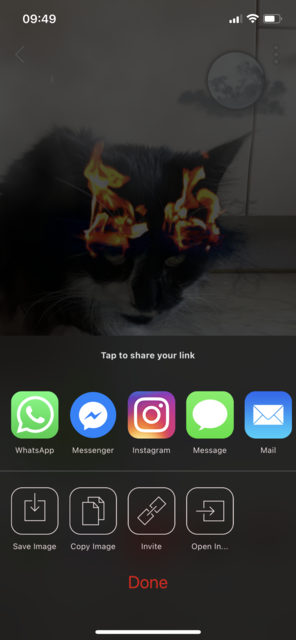 Mit unserem App Tipp der Woche "Monsterfy" können passend zu Halloween aus Selfies Monsterbilder und kurze Monstervideos gestaltet werden | Foto: Screenshot