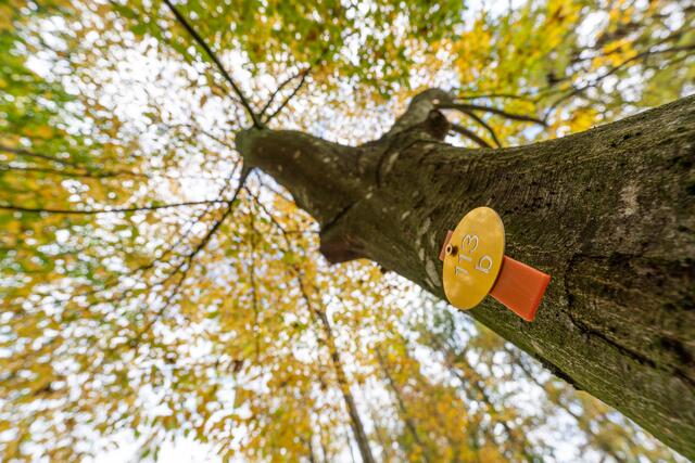 Foto: paxnatura