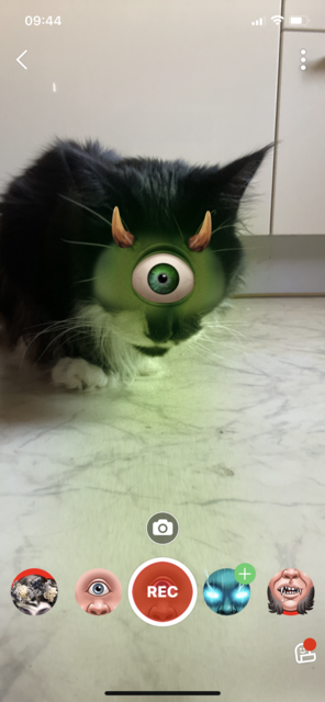 Mit unserem App Tipp der Woche "Monsterfy" können passend zu Halloween aus Selfies Monsterbilder und kurze Monstervideos gestaltet werden | Foto: Screenshot