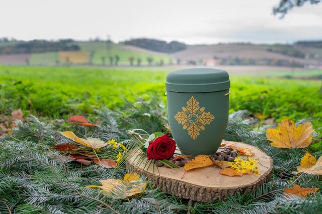 „Naturbestattungen bieten eine würdevolle Alternative zur traditionellen Erdbestattung“, so Maximilian Mayr Melnhof, Gründer von paxnatura. | Foto: paxnatura