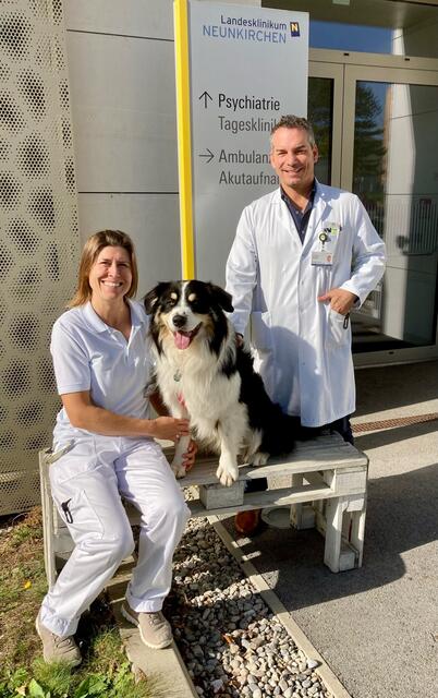 Ein großartiges Team im Landesklinkum Neunkirchen: Mag. Kathrin Fleischmann, Therapiehund Rainbow, Primar Dr. Christian Wunsch. | Foto: Landesklinikum Neunkirchen