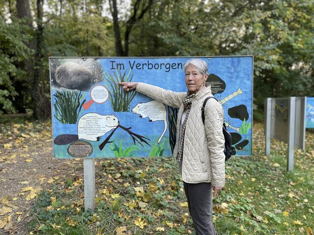 "Auf den Info-Tafeln der Stadt wird über den Biber als wichtigen Teil des Ökosystems informiert - und dann wird sein Biberdamm mit dem Bagger zerstört", ärgert sich Dagmar Trübswasser. | Foto: Kautzky