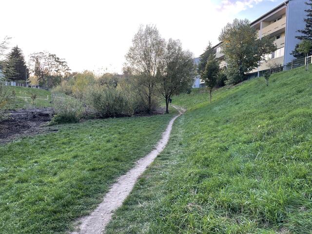 Der Liesingbach fließt durch dicht besiedeltes Gebiet, daher muss auch auf Hochwasserschutz geachtet werden. | Foto: Kautzky
