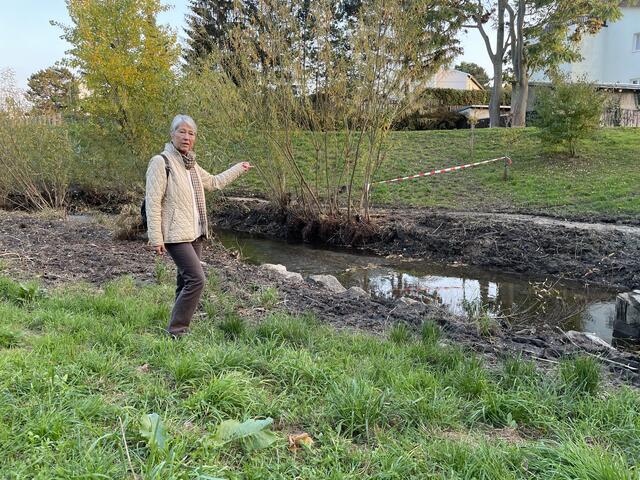 Dagmar Trübswasser geht täglich am Liesingbach spazieren: "Plötzlich war der Biberdamm mit einem Bagger zerstört." | Foto: Kautzky