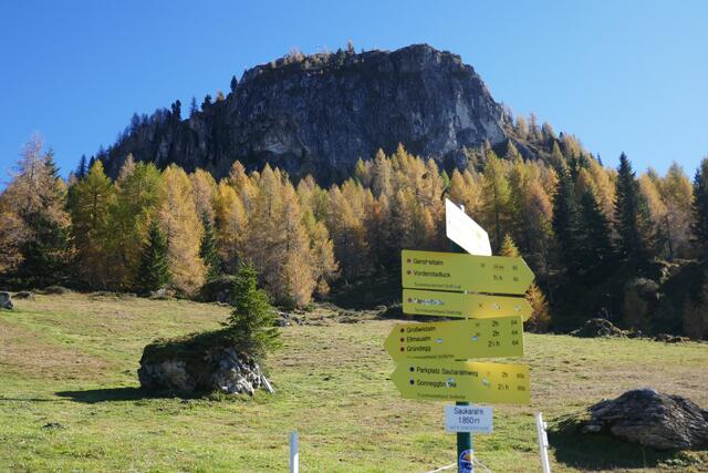 Blick von der Saukaralm zum Gipfelaufbau des Saukarkopfes.  | Foto: Thomas Neuhold