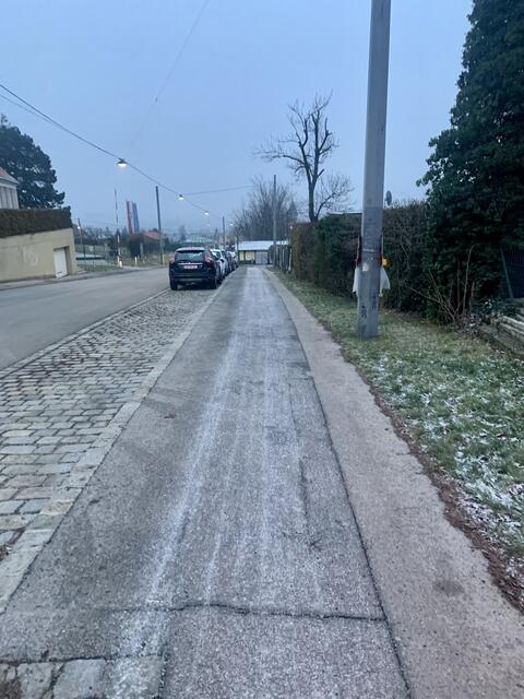 Foto: Baumschutz Ottakring