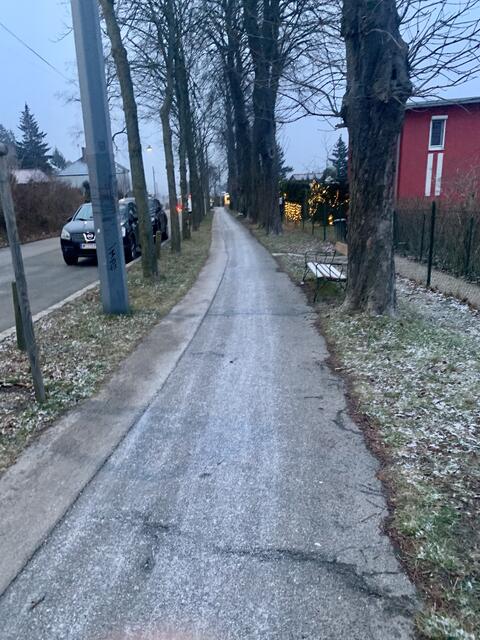 "Gesalzene Wege" will man in Ottakring verhindern. | Foto: Baumschutz Ottakring
