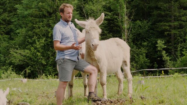 Foto: homas Hackl Film &amp; Minapictues Filmstill