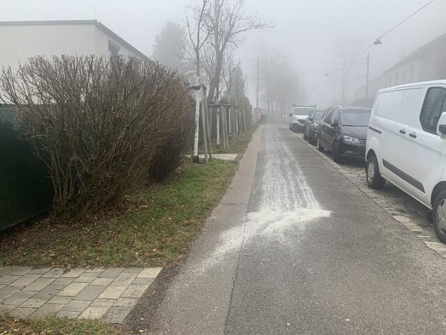 Foto: Baumschutz Ottakring