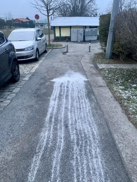 Foto: Baumschutz Ottakring