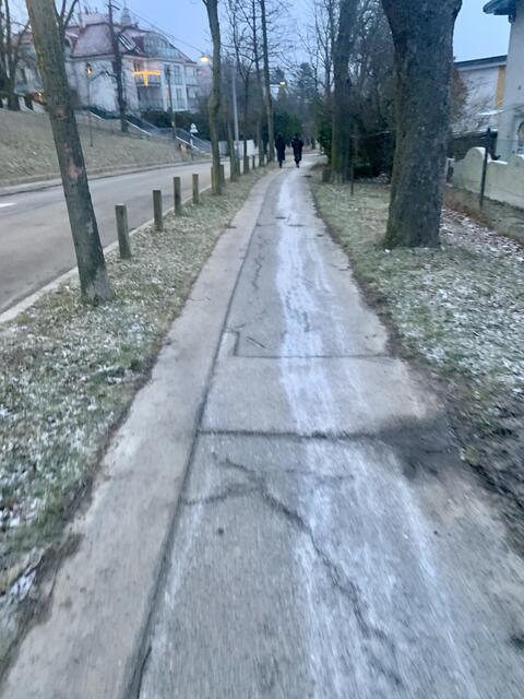 Foto: Baumschutz Ottakring