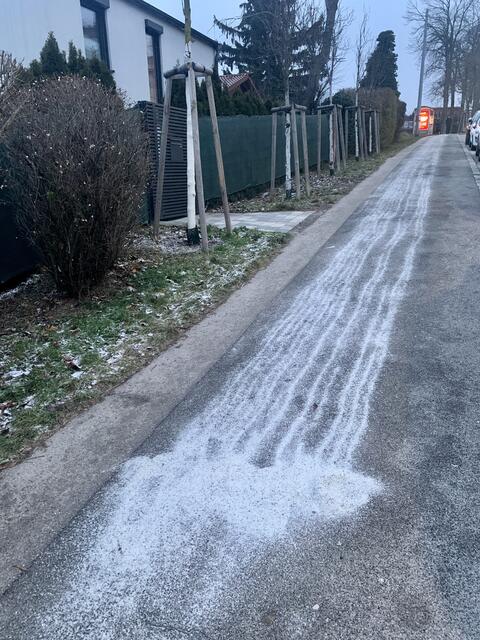 Wegen Bildern wie diesem schlägt Baumschutz Ottakring Alarm. | Foto: Baumschutz Ottakring