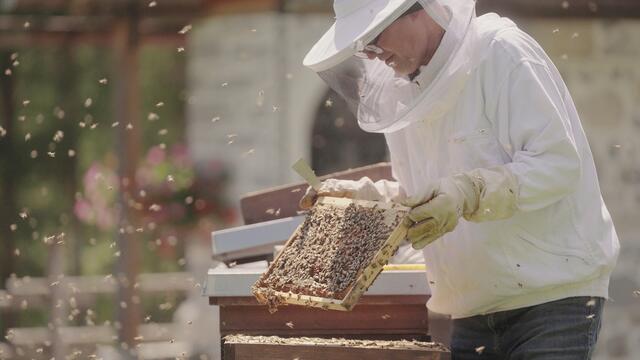 Foto: homas Hackl Film &amp; Minapictues Filmstill